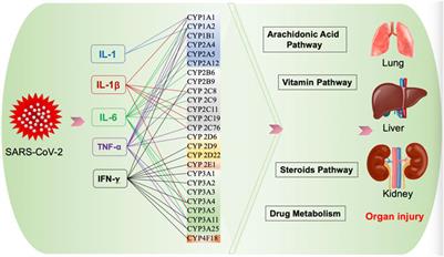The Role of Cytochrome P450 Enzymes in COVID-19 Pathogenesis and Therapy